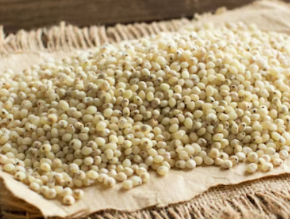 Barnyard Millet Hover