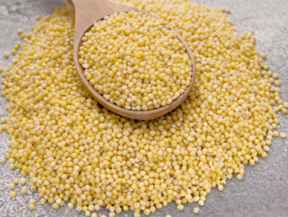 Foxtail Millet Hover