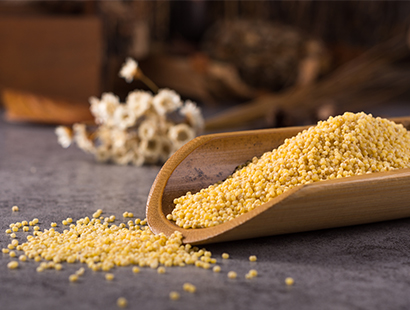 Foxtail Millet